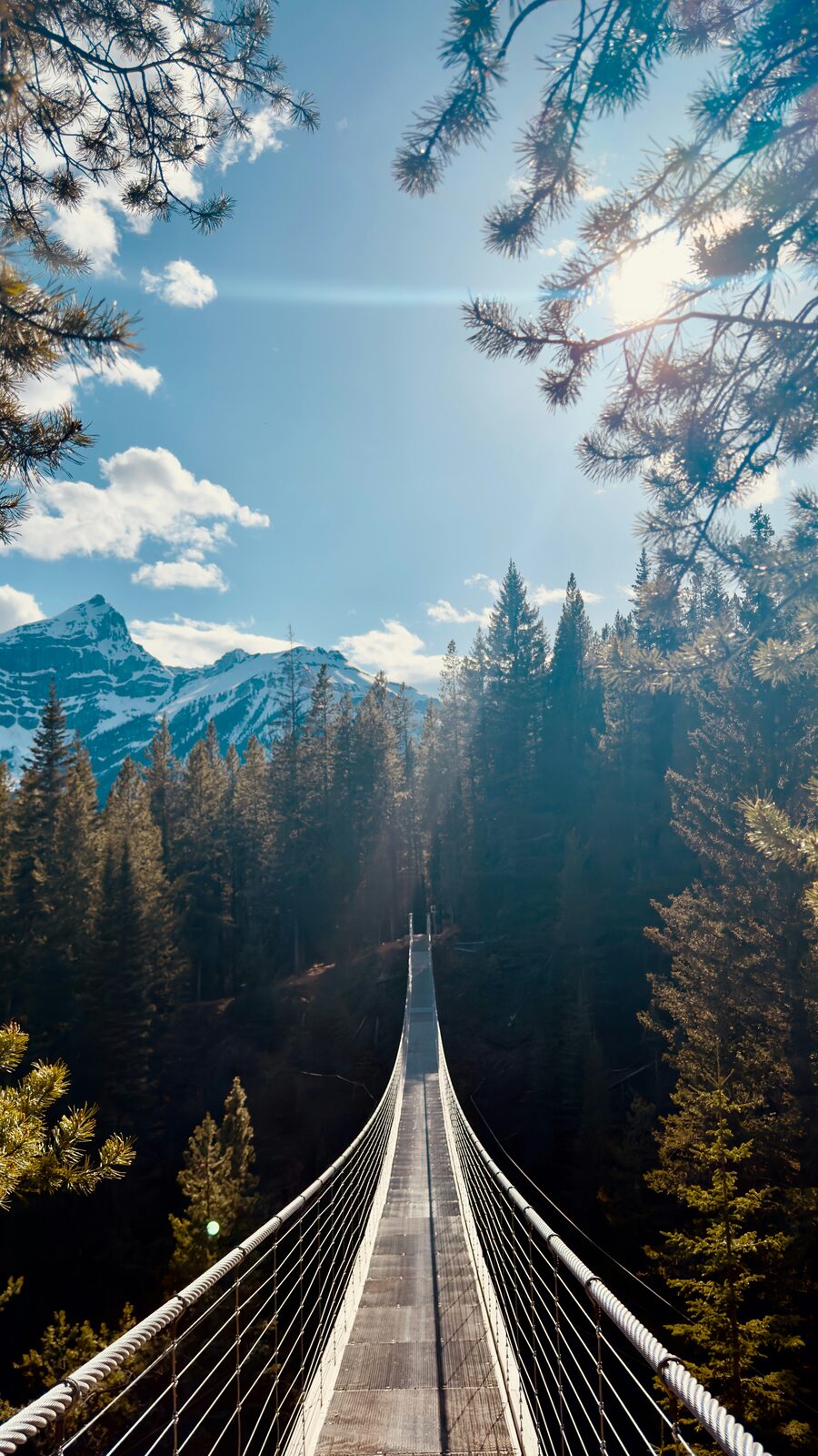 Hängebrücke über einem Bergwald